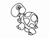 Turtle Land Coloring Coloringcrew sketch template