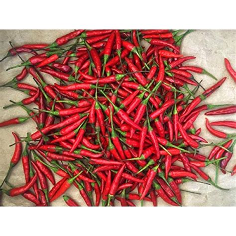 kejora fresh red thai chili peppers  lb  oz