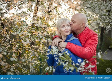 Happy Seniors Couple Embrace And Smile Near Blossom Tree Stock Image