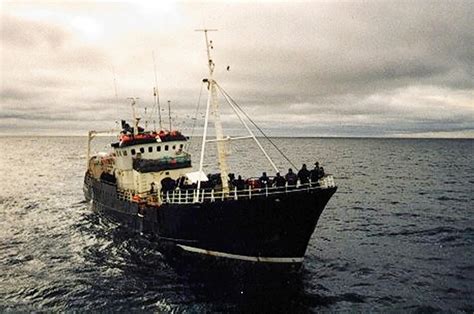 life then death on a trawler in freezing antarctic seas