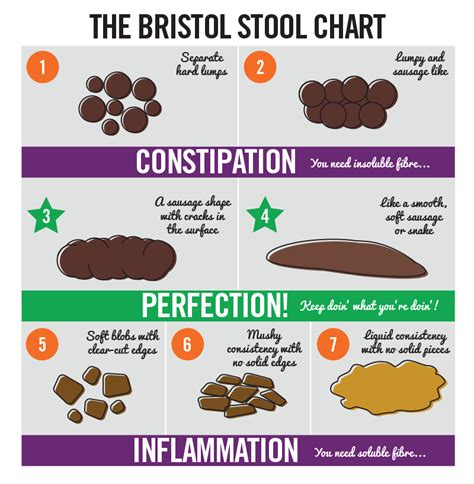 bristol stool chart    bowels  telling    health bristol