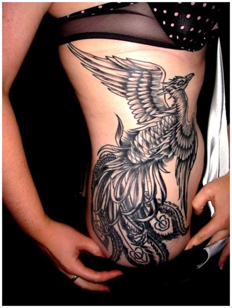Phoenix bird sex