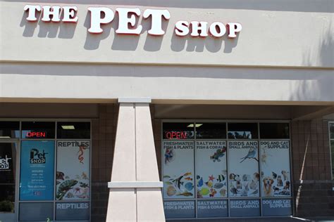 pet shop  pet shop