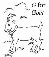Letter Coloring Goat Sheet Pages sketch template
