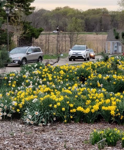 minnesota landscape arboretum opens  vehicles  minnesota monthly