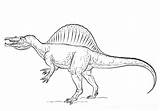 Spinosaurus Dinosaur Educative Supercoloring Educativeprintable sketch template