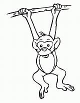 Monkey Coloring Hanging Pages Printable Monkeys Drawing sketch template