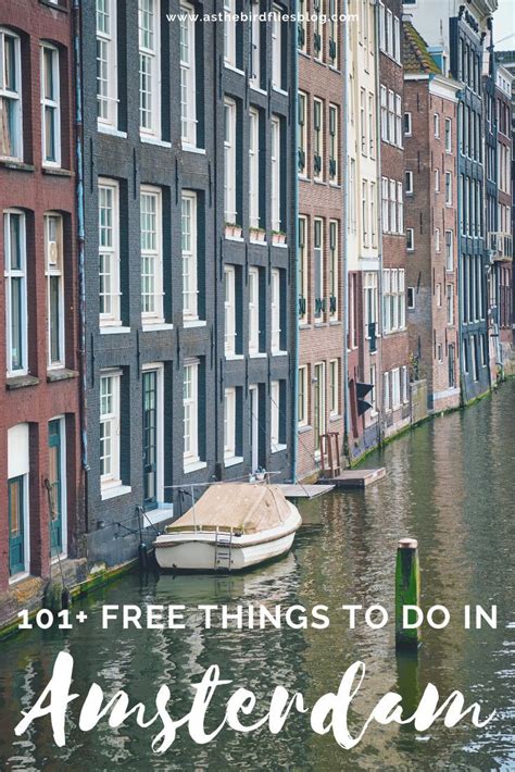 amsterdam travel best things to do in amsterdam for free over 125