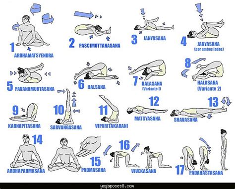 Hatha Yoga Positions