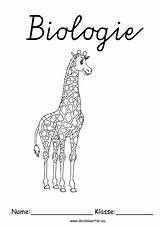 Biologie Deckblatt Giraffe Deckblaetter Ausdrucken sketch template