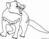 Tasmanian Mammals Coloringall sketch template