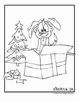 Christmas Coloring Puppy Pages Printables Choose Board Animaljr sketch template