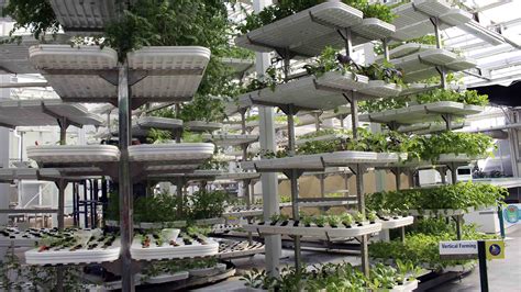 vertical farming isnt  solution   food crisis
