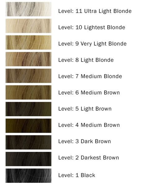 blogposthaircolorlevels wunderkult levels  hair color ion hair color chart ion hair