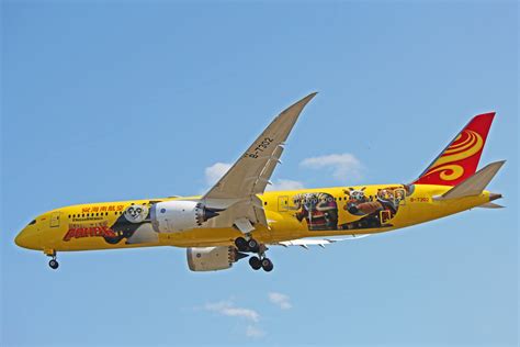 airplane special liveries airlines  attention  cool paint jobs