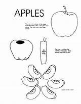 Apple Coloring Pages Preschoolers Getcolorings Letter Printable sketch template