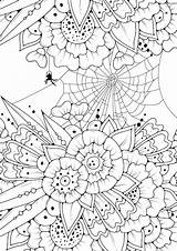 Cobweb Spider Flowers sketch template