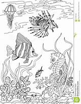 Coloring Drawing Underwater Book Antistress Freehand Seas Tropical Sketch Animals Adult Drawn Hand Preview sketch template