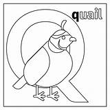 Coloring Quail Pages Quiet Letter Alphabet Vector Preschool Moses Printable Getdrawings Getcolorings California Quilt Queen Color Colorings Drawing sketch template