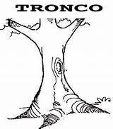 Troncos Tronco sketch template