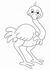Ostrich Coloring Pages Asian Kids Printable Preschool Colouring Color Drawing Animals Letter Worksheets Cartoon Animal Draw Line Visit Ostriches Drawings sketch template