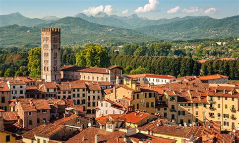 lucca museums  attractions musement