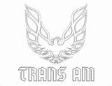 Trans Am Coloring Pages Bird Template sketch template