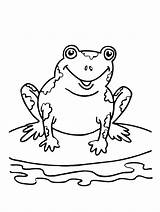 Coloring Froggy Pages Getdrawings sketch template