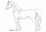 Shire Horse Coloring Pages Lineart Arabian Mare Printable Kids Getcolorings Getdrawings Favourites Add sketch template