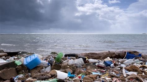 okyanuslarda bulunan plastik coeplerin neredeyse yarisi paket yiyecek