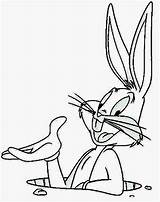 Pernalonga Bunny sketch template