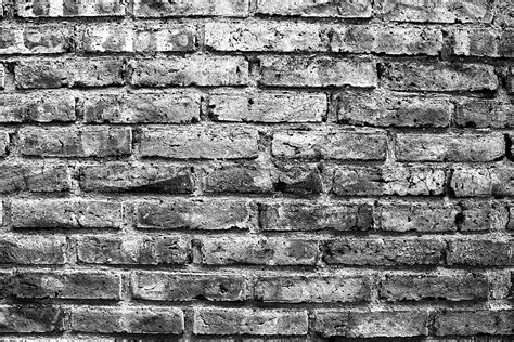 brick wallpaper  grey walls carrotapp