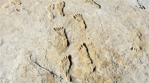 debate   age  white sands footprints heats  popular science
