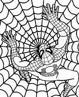 Coloring Spider Web Man Spiderman Sheet Pages Print Printable Topcoloringpages sketch template
