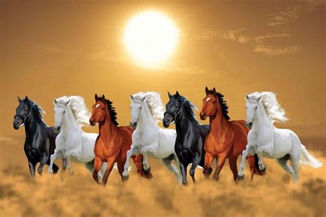 exclusive azohp  running horses vastu  horses  horses vaastu  horse success