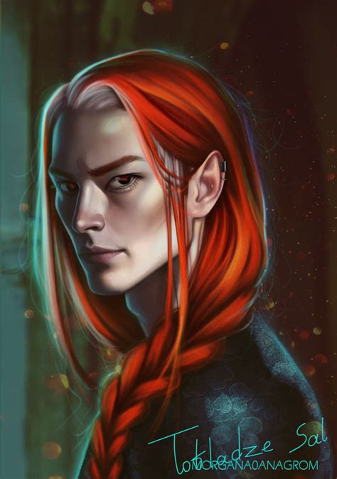 pin  laurie phillips  red haired male elven   book