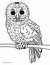 Owl Coloring Pages Baby Cute Realistic Printable Print Owls Color Kids Getcolorings Cool2bkids Template sketch template