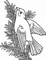Coloring Book Pages Birds Goldfinch Willow Finch Animals American Colouring Bird Education Yellow Gold Clipart Online Kids Domain Public Wpclipart sketch template