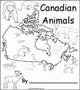 Canada North Animals Canadian Activities America Kids Animal Coloring Pages Printable American Books Enchantedlearning Crafts Geography Learning Ontario Mini Studies sketch template