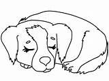 Puppy Dogs Colorless Containing sketch template