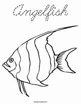Coloring Angelfish Cursive Favorites Login Add sketch template