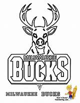 Lakers Nba Celtics Basket Bucks Milwaukee Getcolorings Bask sketch template