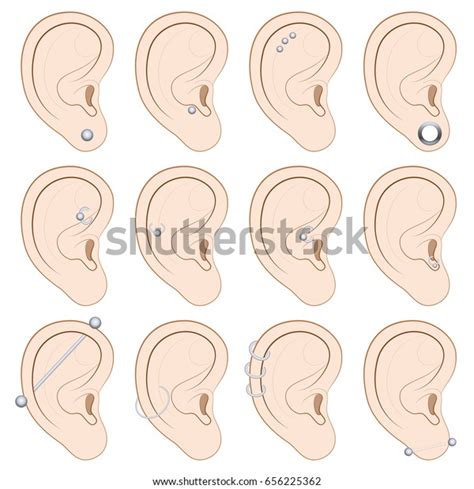 Ear Piercing Chart Gallery Of Chart 2019