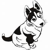 Husky Cute Drawing Coloring Pages Dog Baby Christmas Getdrawings sketch template