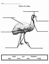 Emu Parts sketch template