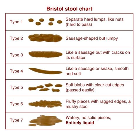 sample stool color chart templates   bristol stool chart bristol stool chart bowel