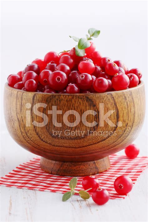 red cranberries stock photo royalty  freeimages