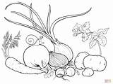 Coloring Pages Veggies Printable Drawing sketch template