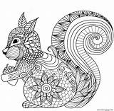 Zentangle Coloring Squirrel Adults Pages Printable sketch template