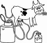Cow Coloring Milking Pages Farmer Doing Family sketch template